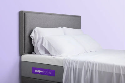 404859289:Purple
