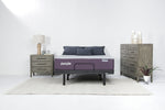235801212:Purple Premier Plus Smart Adju, Styled