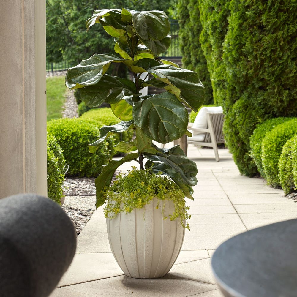 040107966:Ridgehaven Vase, Styled