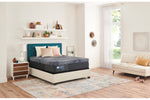 670020350:Sealy