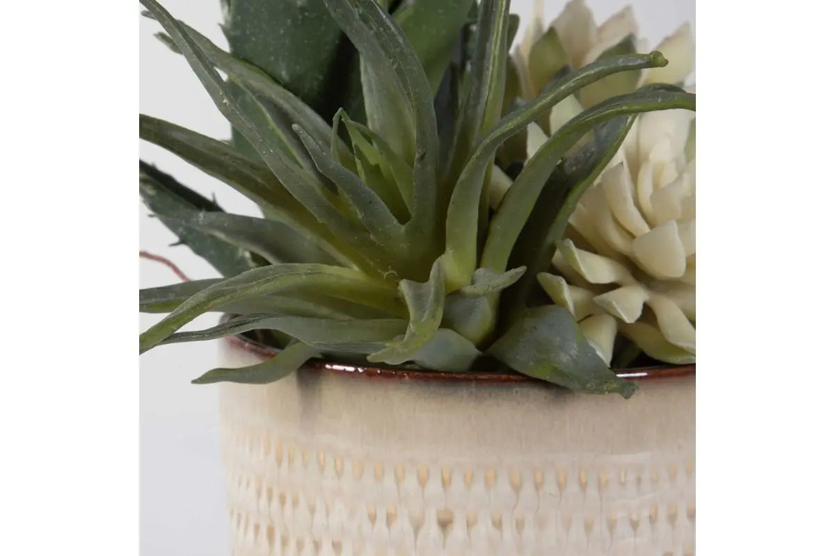 909593951:Seaside Succulents Plant, Side
