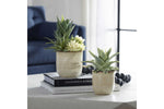 909593951:Seaside Succulents Plant, StyledSide