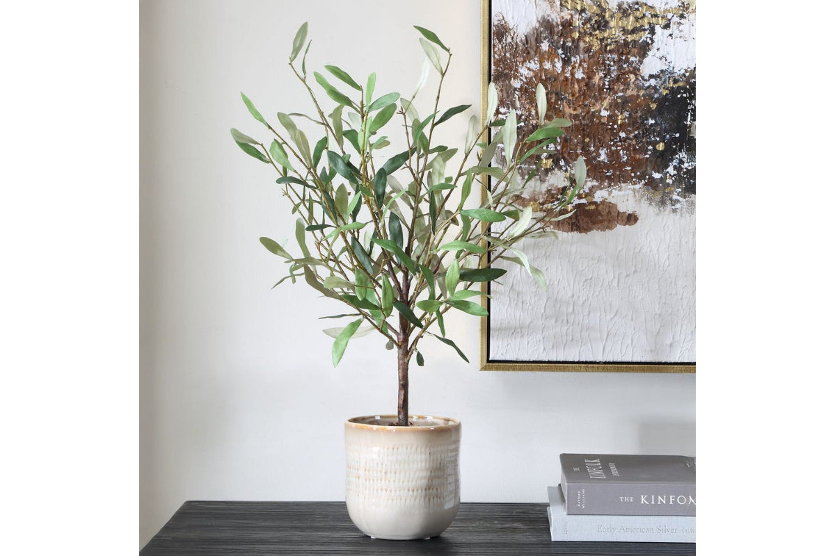 052571066:Solea Plant, Styled