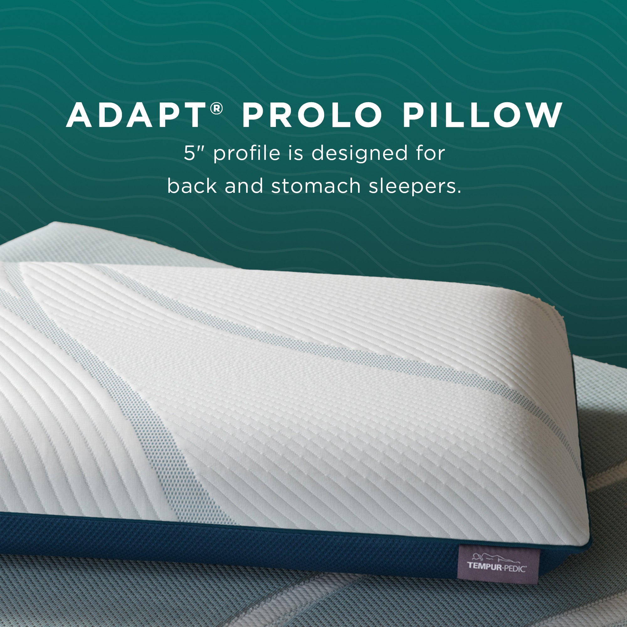 817160418:Adapt Prolo Pillow, 
