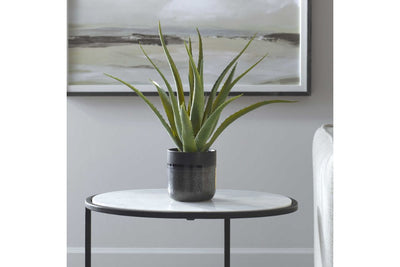 269732804:Tucson Plant, Styled