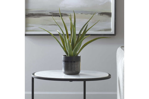 269732804:Tucson Plant, Styled