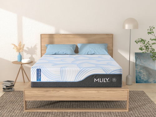 154529165:Wellflex Ice 1 Firm Mattress Styled