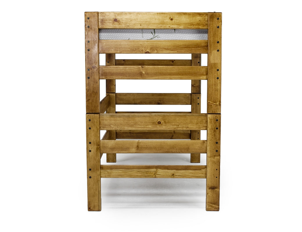 092445310:Young Pioneer