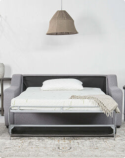 Sleeper Sofas