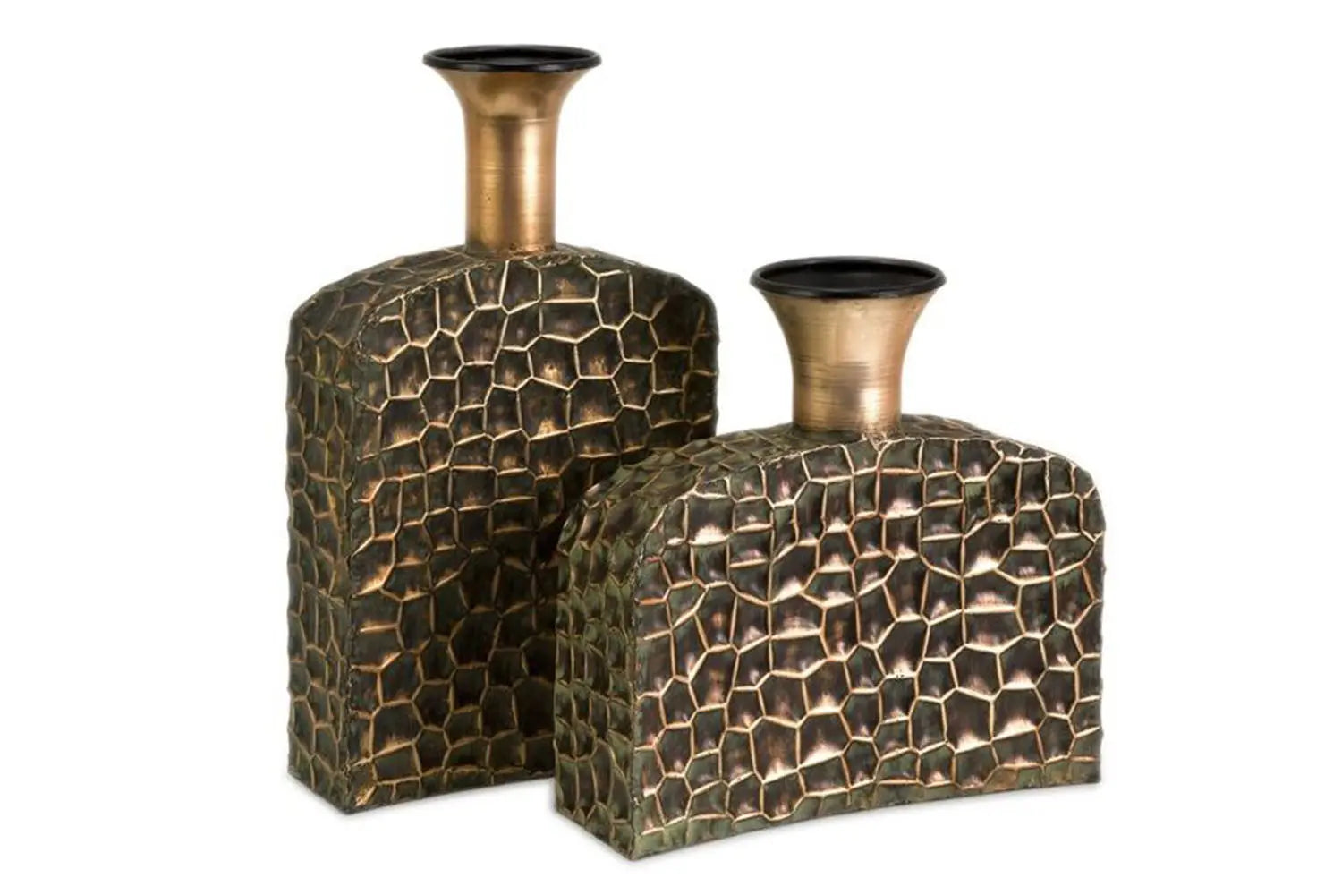 490787870:Liana Reptilian Angular Bottles, Set of 2, Image 1