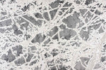 158151112:Paris Rug in Gray, 5 x 7, Image 1