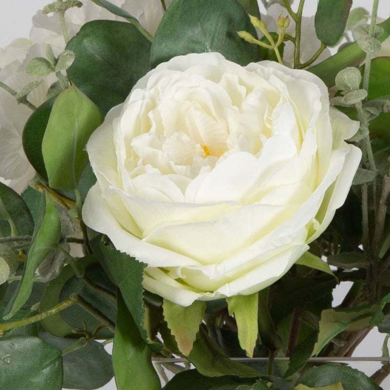 543847760:Rosewood Garden Plant, 